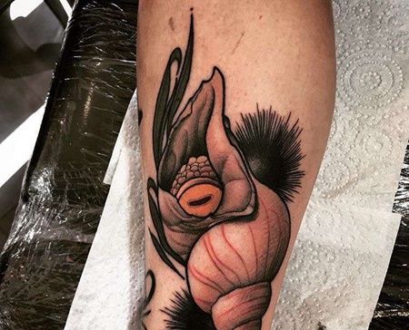 New School小腿海螺纹身图案