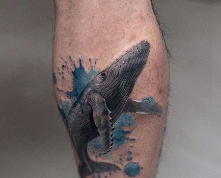 水彩小腿鲸鱼纹身图案