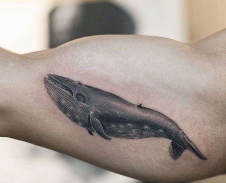 黑灰大臂鲸鱼纹身图案