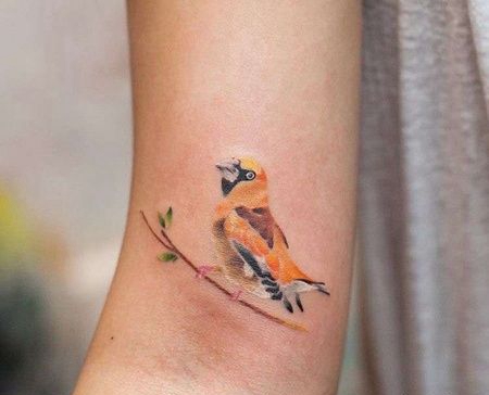 水彩大臂鹦鹉纹身图案