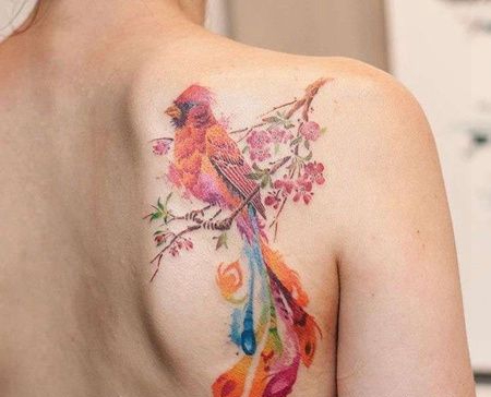 水彩后肩鹦鹉纹身图案