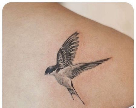 黑灰后肩燕子纹身图案