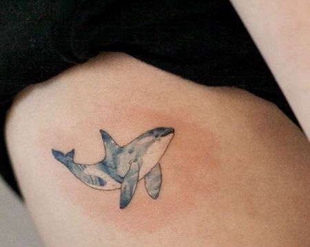 小清新侧腰海豚纹身图案