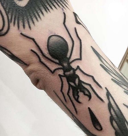 Old School小臂蚂蚁纹身图案