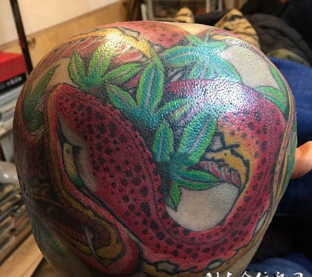 青草毒蛇，头部日式蛇彩绘纹身