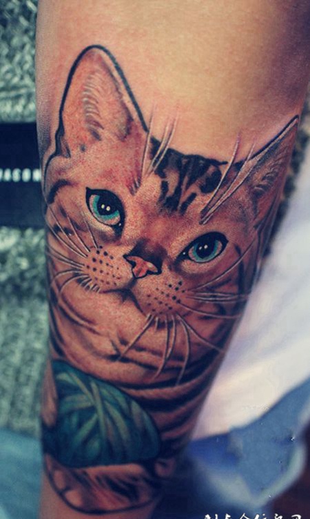 宠爱一生，手臂宠物小猫彩绘纹身