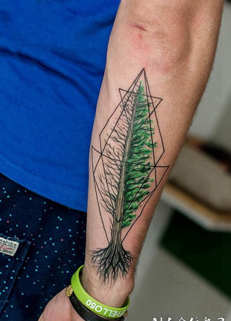 自然的规律，手臂个性绿色大树纹身图案
