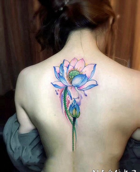 并蒂彩莲，美女后背唯美彩莲纹身