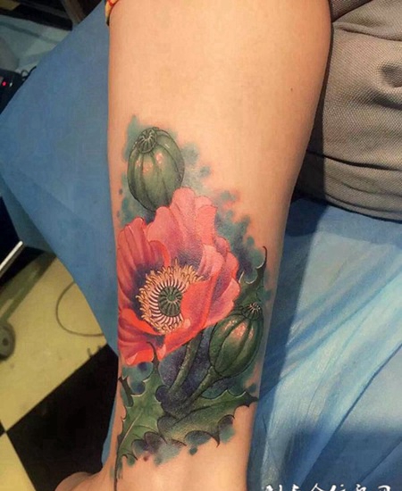 爱上美丽的毒药，手臂罂粟花彩绘纹身