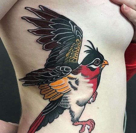 上半身侧方new school鸟