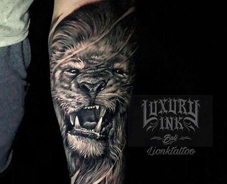 手臂包围写实狮子