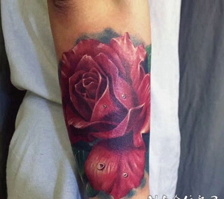 娇艳欲滴，手臂写实风格红玫瑰纹身图案