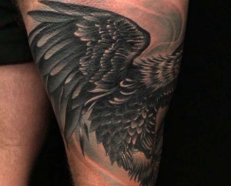 大腿外侧黑灰鹰