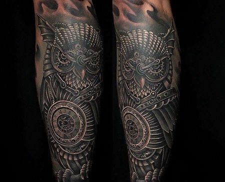 小腿包围黑灰猫头鹰