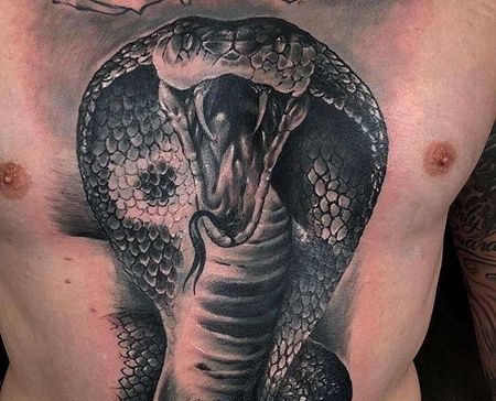 胸部写实黑灰蛇