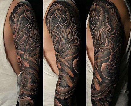 手臂包围黑灰凤凰