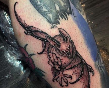 小腿外侧黑灰蝙蝠