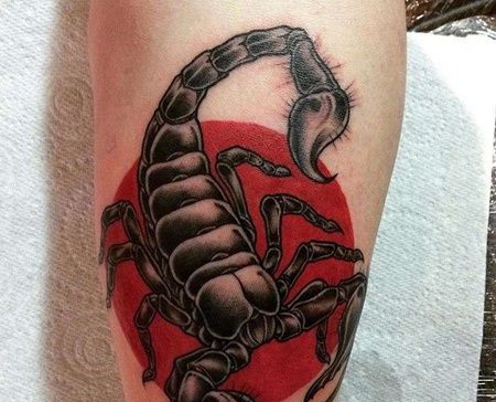 小臂内侧new school 蝎子