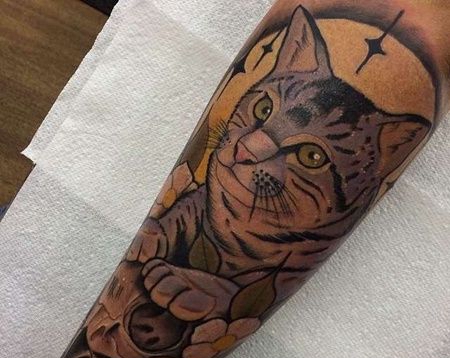 小腿外侧new school猫