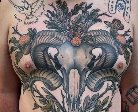 前半身写实羊头