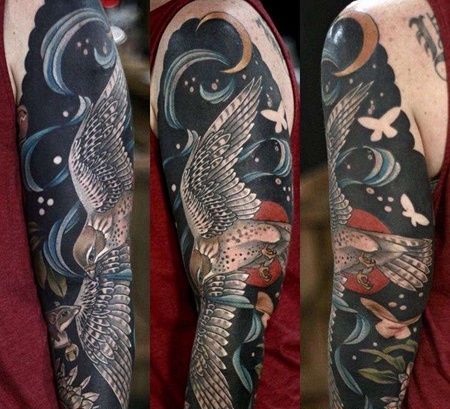 手臂包围写实鸟