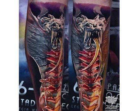 小腿包围新传统眼镜蛇