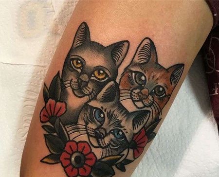 大腿前侧old school猫