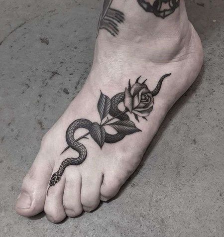 脚背黑灰蛇与玫瑰