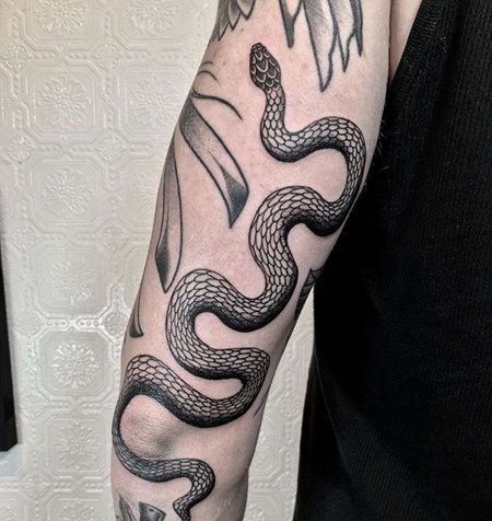 大臂外侧点刺蛇