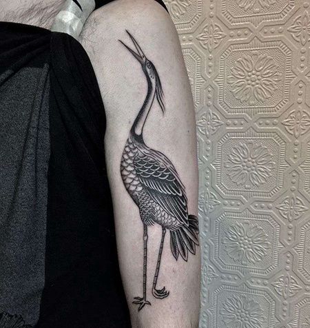 大臂外侧点刺鹤