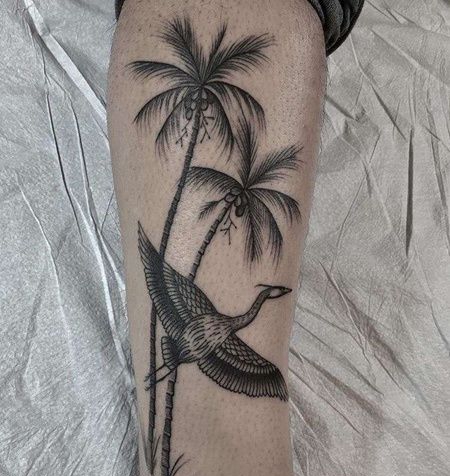 小腿外侧点刺树与鹤