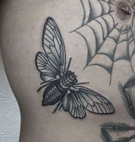 胸部下方点刺蜜蜂