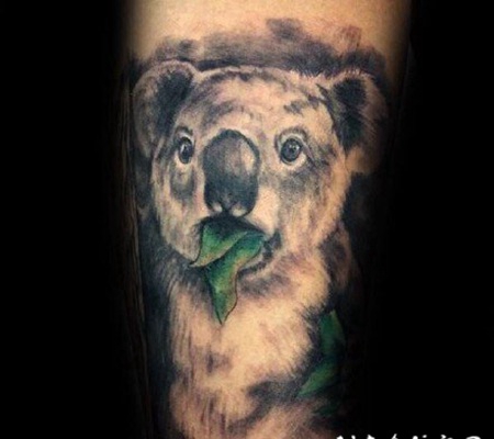 考拉纹身 可爱的小动物考拉纹身图案