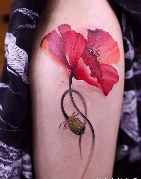 漂亮的罂粟花纹身作品图片