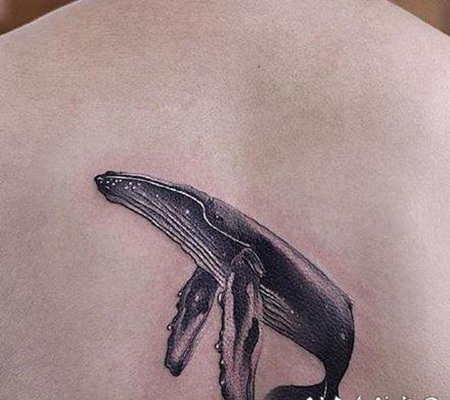 好看的小清新鲸鱼和海豚纹身图案