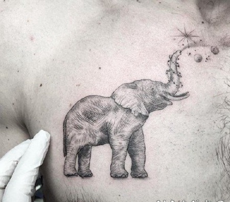 象纹身 1大象主题的纹身图片作品