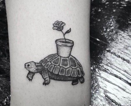 一波小海龟主题的乌龟纹身图片