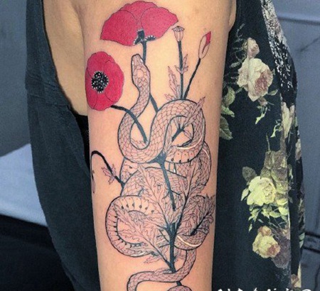 小蛇纹身 国外大师的经典蛇纹身图片