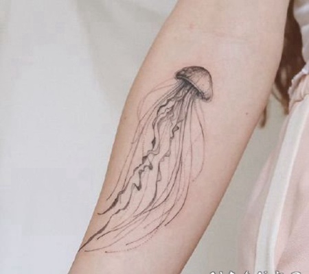 漂亮的小清新水母纹身图片