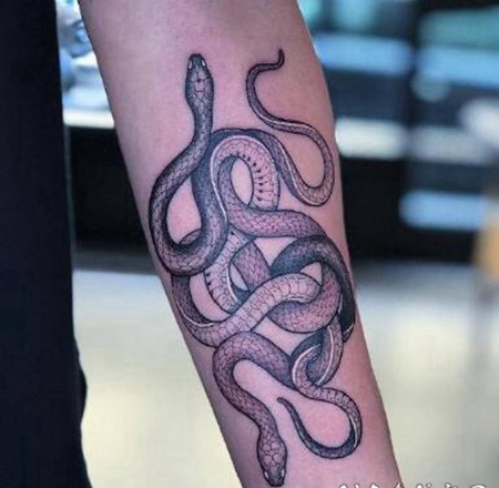 米兰纹身师Mirko Sata的蛇纹身图案