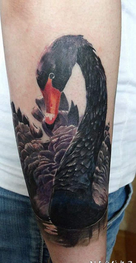 情迷天鹅湖，手臂好看的黑天鹅彩绘纹身