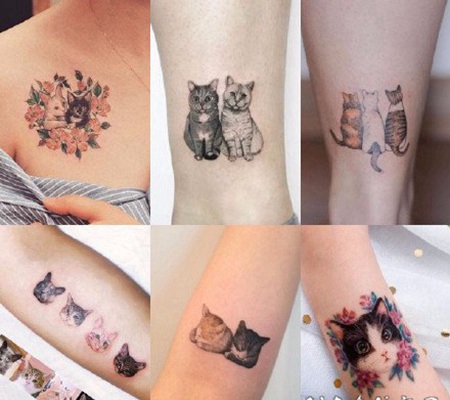 宠物纹身 小清新的9组可爱宠物猫狗纹身图片