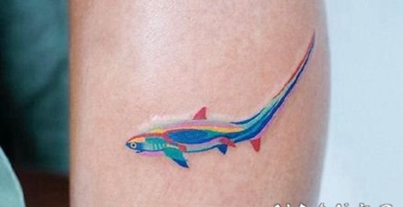 色彩斑斓的小纹身图片