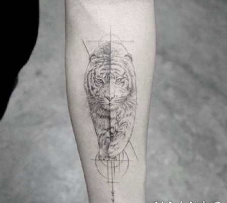 添加新元素的趣味小臂老虎头纹身图片