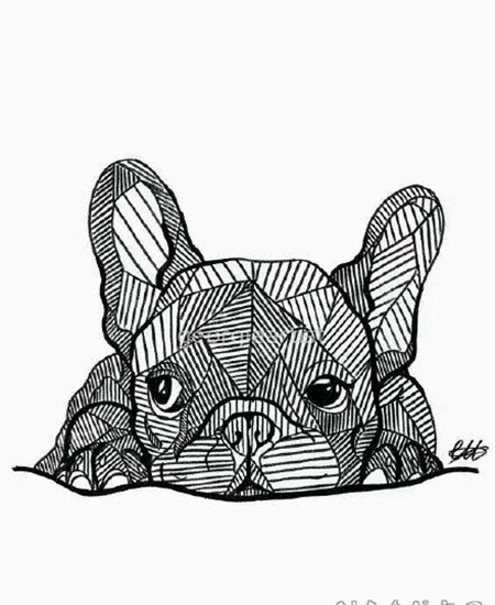 可爱宠物沙皮狗的纹身图片