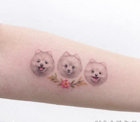 萌翻的的宠物小纹身图片