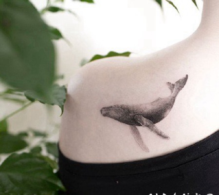 纹身鲸鱼图 好看的鲸鱼纹身图片