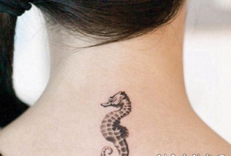 小清新海洋动物题材的海螺海贝等纹身图片