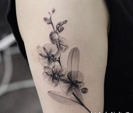 清透感很强的黑白色素花纹身，简单又大方