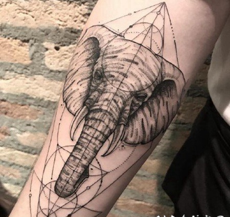 大象刺青 小清新素描速写风的大象纹身图片